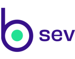 BSEV - INTELLIGENT BUSINESS SOLUTIONS LTDA